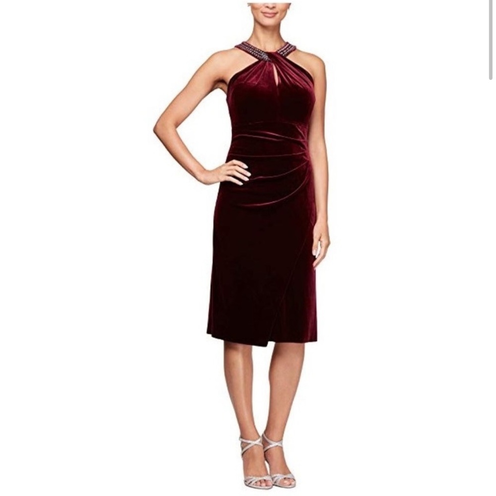 Alex evenings velvet dress